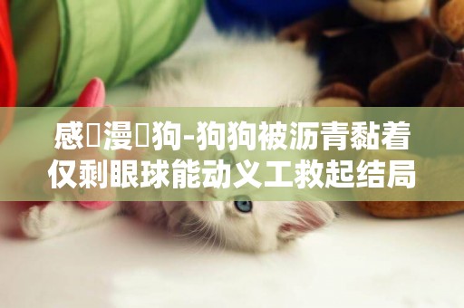 感動漫畫狗-狗狗被瀝青黏著僅剩眼球能動義工救起結局超感動