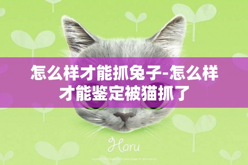 怎么樣才能抓兔子-怎么樣才能鑒定被貓抓了