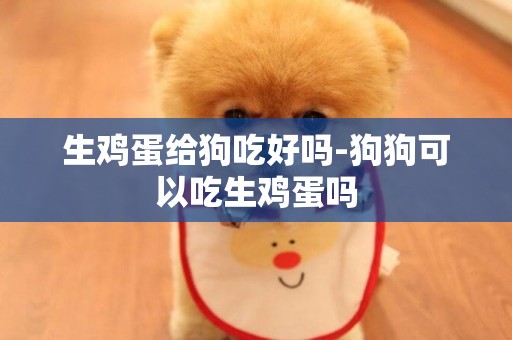 生雞蛋給狗吃好嗎-狗狗可以吃生雞蛋嗎