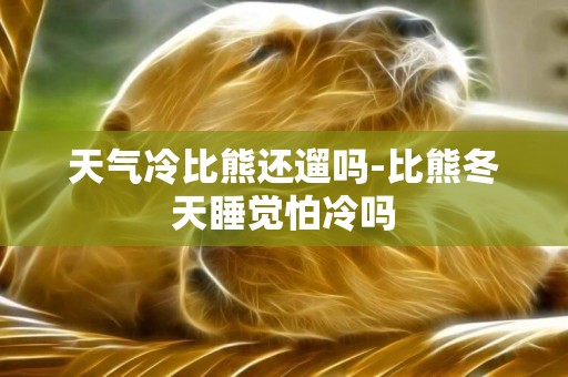 天氣冷比熊還遛嗎-比熊冬天睡覺怕冷嗎