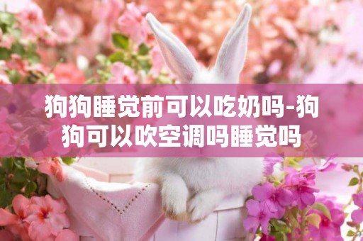 狗狗睡覺前可以吃奶嗎-狗狗可以吹空調嗎睡覺嗎