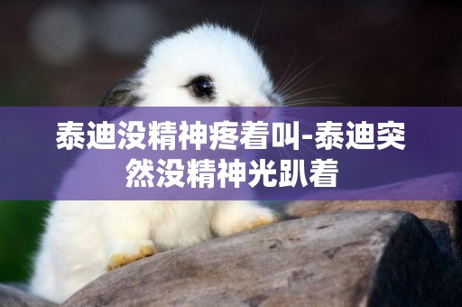 泰迪沒精神疼著叫-泰迪突然沒精神光趴著