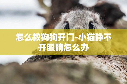 怎么教狗狗開門-小貓睜不開眼睛怎么辦