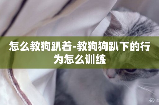 怎么教狗趴著-教狗狗趴下的行為怎么訓練