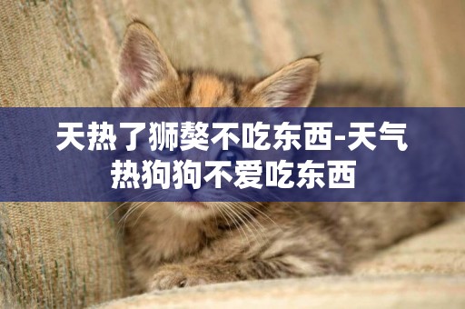 天熱了獅獒不吃東西-天氣熱狗狗不愛吃東西