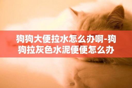 狗狗大便拉水怎么辦啊-狗狗拉灰色水泥便便怎么辦