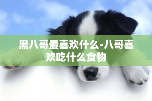 黑八哥最喜歡什么-八哥喜歡吃什么食物