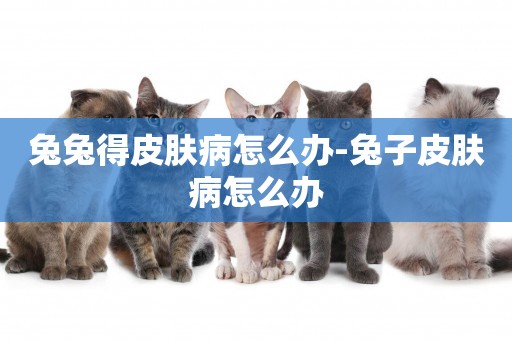 兔兔得皮膚病怎么辦-兔子皮膚病怎么辦