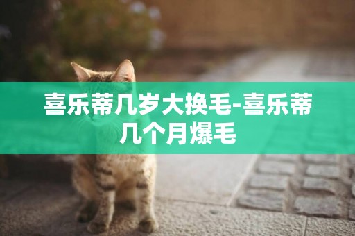 喜樂蒂幾歲大換毛-喜樂蒂幾個月爆毛
