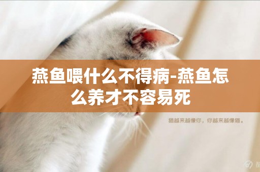 燕魚喂什么不得病-燕魚怎么養才不容易死