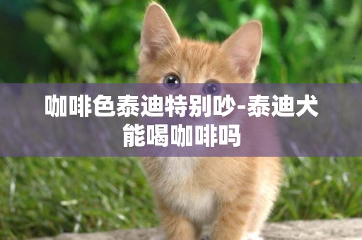 咖啡色泰迪特別吵-泰迪犬能喝咖啡嗎