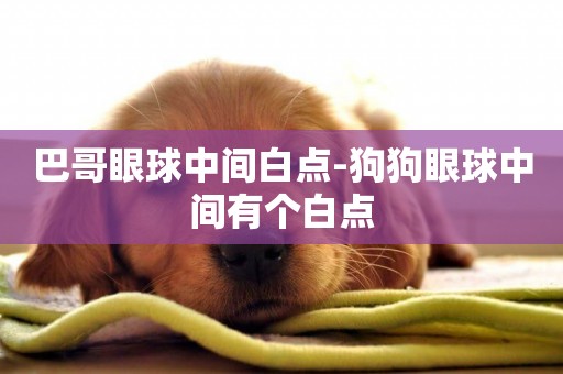 巴哥眼球中間白點-狗狗眼球中間有個白點