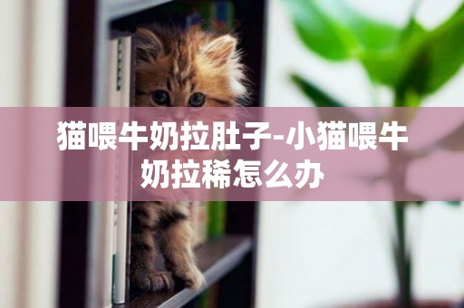 貓喂牛奶拉肚子-小貓喂牛奶拉稀怎么辦