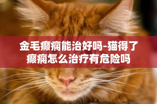 金毛癲癇能治好嗎-貓得了癲癇怎么治療有危險嗎