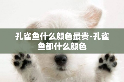 孔雀魚什么顏色最貴-孔雀魚都什么顏色