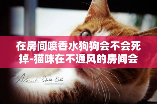 在房間噴香水狗狗會不會死掉-貓咪在不通風的房間會死嗎