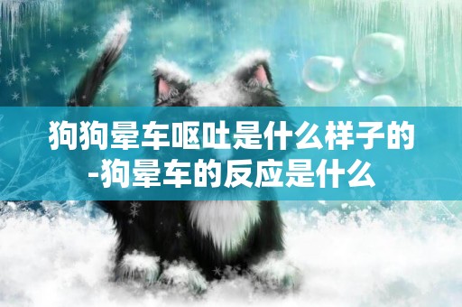 狗狗暈車嘔吐是什么樣子的-狗暈車的反應是什么