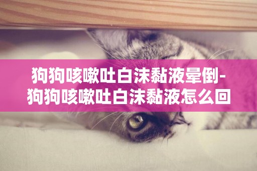 狗狗咳嗽吐白沫黏液暈倒-狗狗咳嗽吐白沫黏液怎么回事