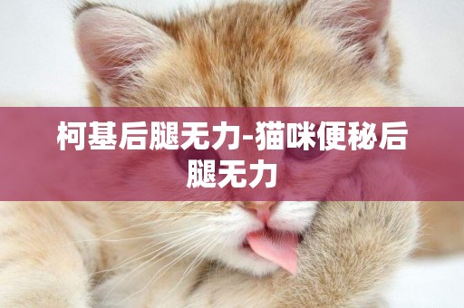 柯基后腿無力-貓咪便秘后腿無力