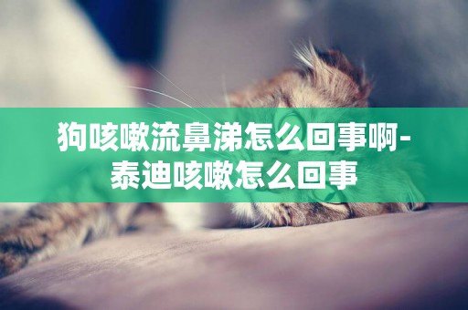 狗咳嗽流鼻涕怎么回事啊-泰迪咳嗽怎么回事