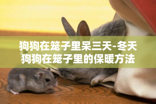 狗狗在籠子里呆三天-冬天狗狗在籠子里的保暖方法