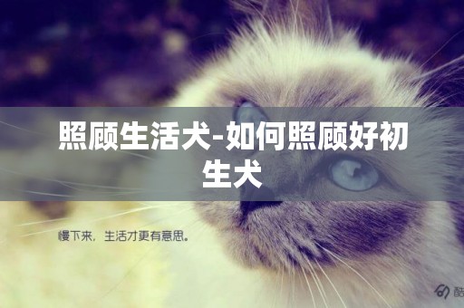 照顧生活犬-如何照顧好初生犬