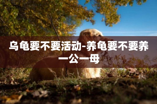 烏龜要不要活動-養龜要不要養一公一母
