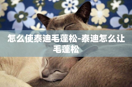 怎么使泰迪毛蓬松-泰迪怎么讓毛蓬松