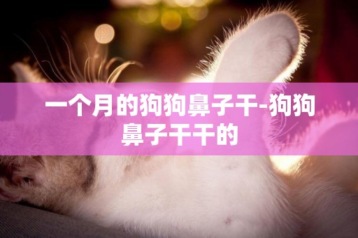 一個月的狗狗鼻子干-狗狗鼻子干干的