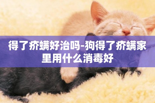 得了疥螨好治嗎-狗得了疥螨家里用什么消毒好