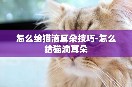 怎么給貓滴耳朵技巧-怎么給貓滴耳朵