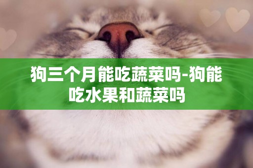 狗三個月能吃蔬菜嗎-狗能吃水果和蔬菜嗎