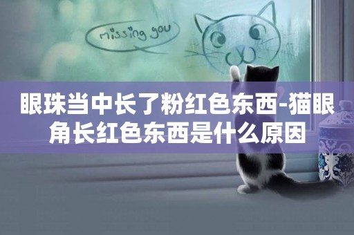 眼珠當中長了粉紅色東西-貓眼角長紅色東西是什么原因