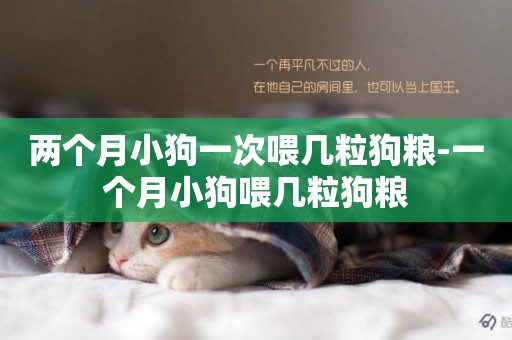 兩個月小狗一次喂幾粒狗糧-一個月小狗喂幾粒狗糧