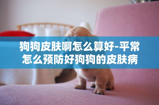 狗狗皮膚啊怎么算好-平常怎么預防好狗狗的皮膚病