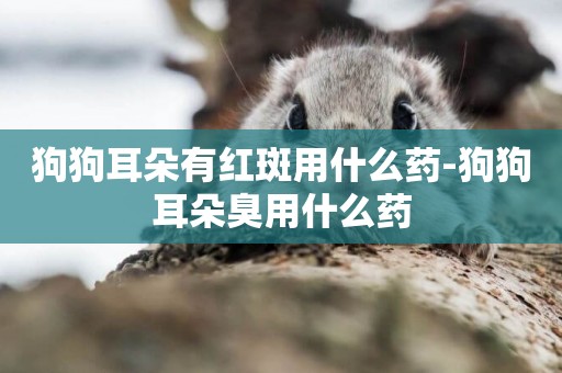 狗狗耳朵有紅斑用什么藥-狗狗耳朵臭用什么藥