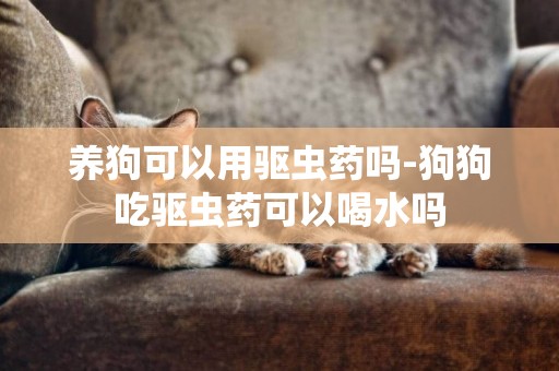 養狗可以用驅蟲藥嗎-狗狗吃驅蟲藥可以喝水嗎