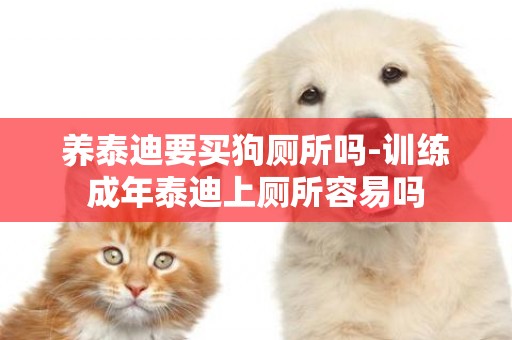 養泰迪要買狗廁所嗎-訓練成年泰迪上廁所容易嗎