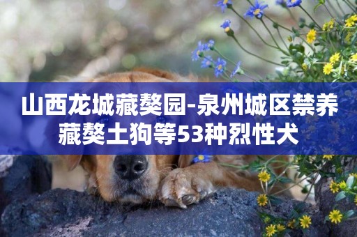 山西龍城藏獒園-泉州城區禁養藏獒土狗等53種烈性犬