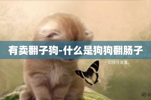 有賣翻子狗-什么是狗狗翻腸子