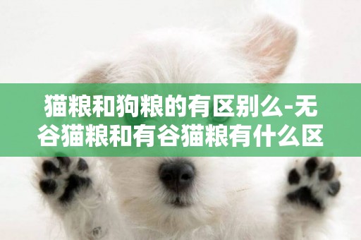 貓糧和狗糧的有區別么-無谷貓糧和有谷貓糧有什么區別