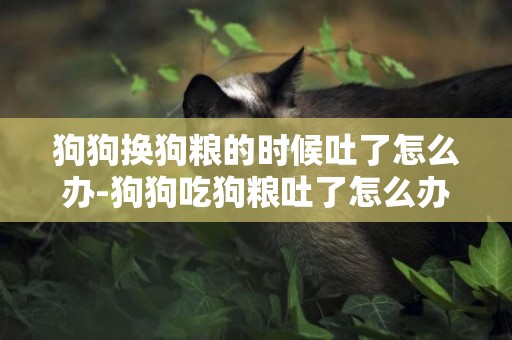 狗狗換狗糧的時候吐了怎么辦-狗狗吃狗糧吐了怎么辦