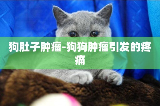 狗肚子腫瘤-狗狗腫瘤引發的疼痛