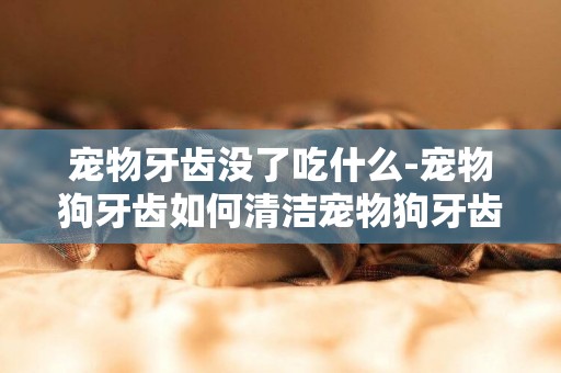 寵物牙齒沒了吃什么-寵物狗牙齒如何清潔寵物狗牙齒清潔除了牙膏還有別的嗎
