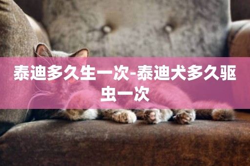 泰迪多久生一次-泰迪犬多久驅蟲一次