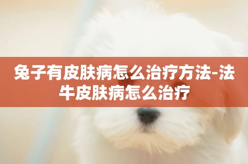 兔子有皮膚病怎么治療方法-法牛皮膚病怎么治療