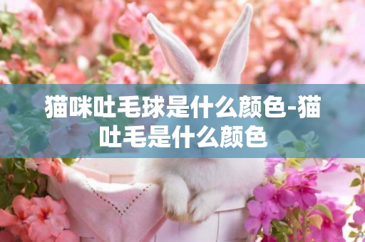 貓咪吐毛球是什么顏色-貓吐毛是什么顏色