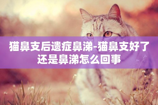 貓鼻支后遺癥鼻涕-貓鼻支好了還是鼻涕怎么回事