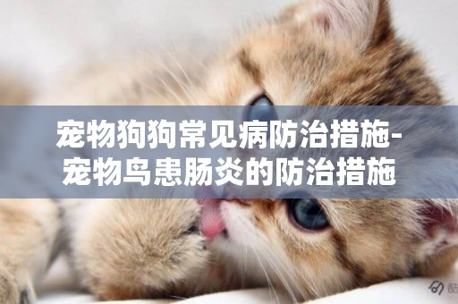 寵物狗狗常見病防治措施-寵物鳥患腸炎的防治措施