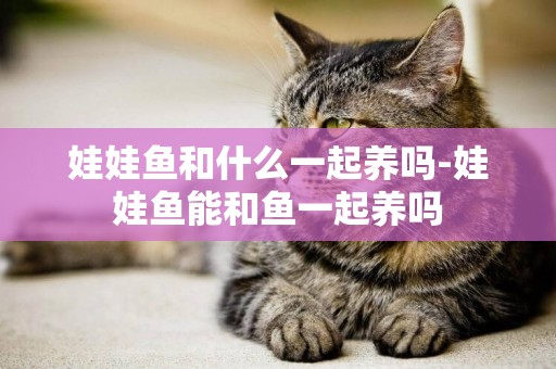 娃娃魚和什么一起養嗎-娃娃魚能和魚一起養嗎